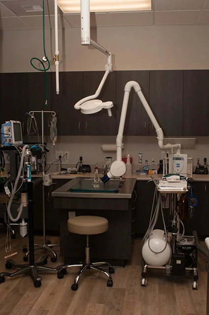 veterinary-dental-suite