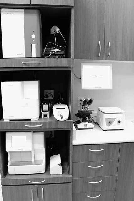 veterinary-laboratory